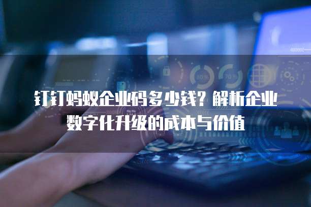 钉钉蚂蚁企业码多少钱?解析企业数字化升级的成本与价值