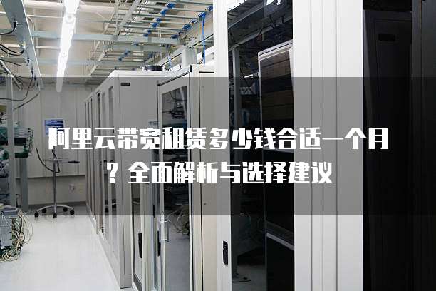 阿里云带宽租赁多少钱合适一个月?全面解析与选择建议