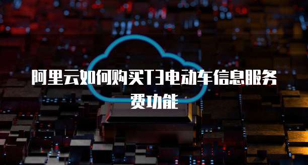 阿里云如何购买T3电动车信息服务费功能