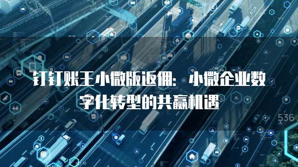 钉钉账王小微版返佣：小微企业数字化转型的共赢机遇
