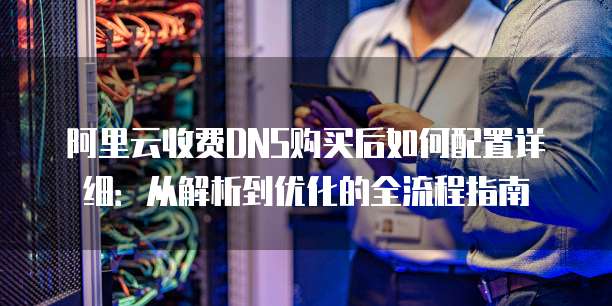 阿里云收费DNS购买后如何配置详细：从解析到优化的全流程指南