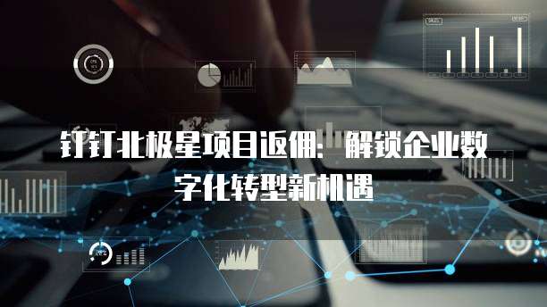 钉钉北极星项目返佣:解锁企业数字化转型新机遇