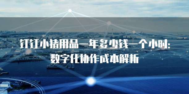 钉钉小猪用品一年多少钱一个小时:数字化协作成本解析