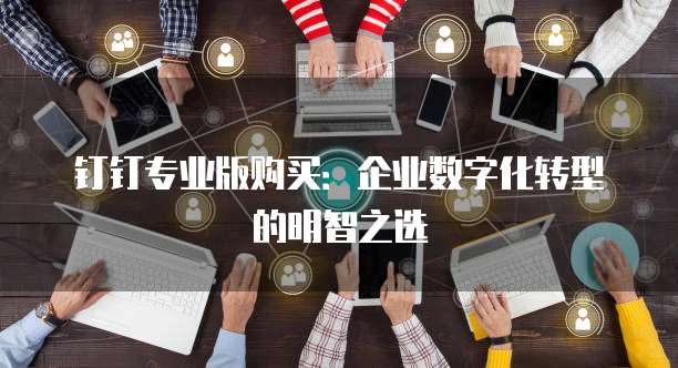 钉钉专业版购买：企业数字化转型的明智之选