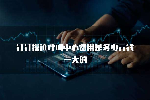 钉钉探迹呼叫中心费用是多少元钱一天的