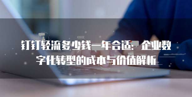 钉钉轻流多少钱一年合适:企业数字化转型的成本与价值解析