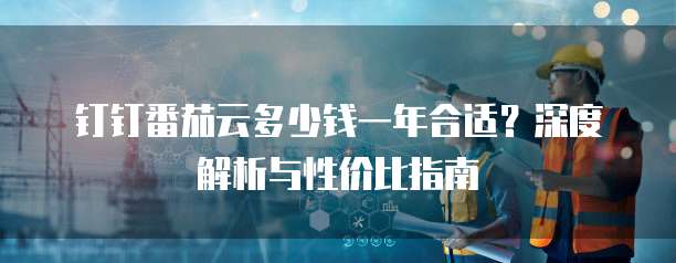 钉钉番茄云多少钱一年合适?深度解析与性价比指南