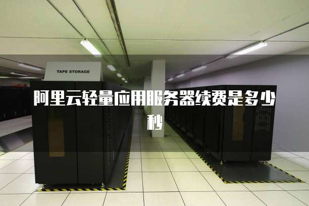 阿里云轻量应用服务器续费是多少秒