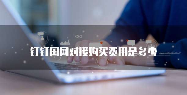 钉钉国网对接购买费用是多少