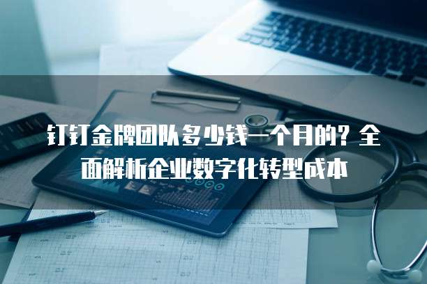 钉钉金牌团队多少钱一个月的?全面解析企业数字化转型成本