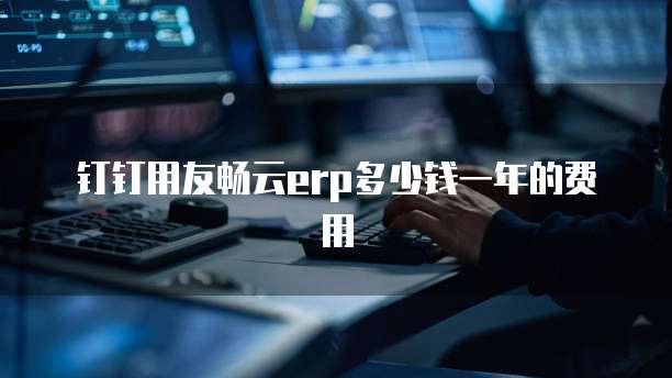 钉钉用友畅云erp多少钱一年的费用