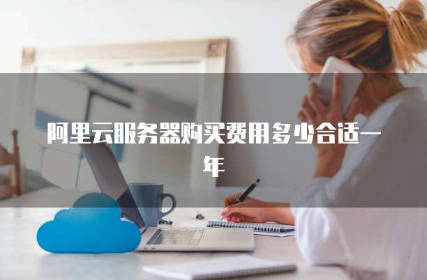 阿里云服务器购买费用多少合适一年