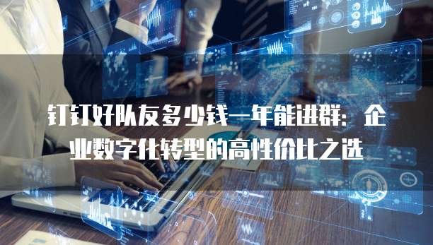 钉钉好队友多少钱一年能进群:企业数字化转型的高性价比之选