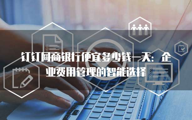 钉钉网商银行便宜多少钱一天:企业费用管理的智能选择