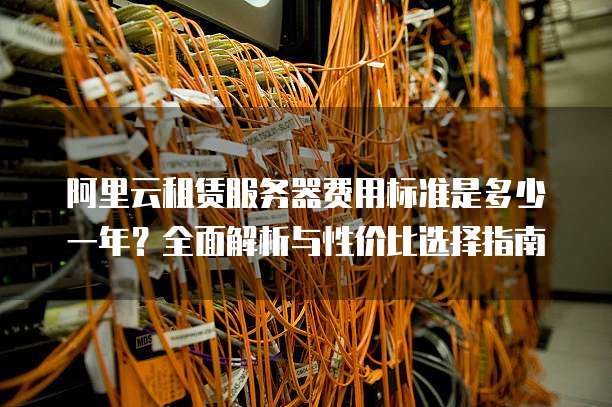阿里云租赁服务器费用标准是多少一年?全面解析与性价比选择指南