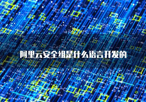 阿里云安全组是什么语言开发的