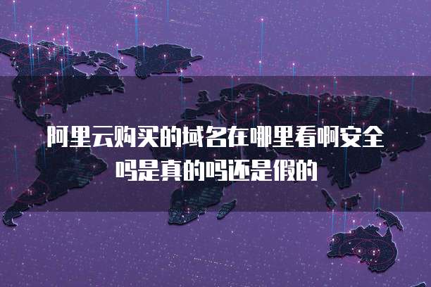 阿里云购买的域名在哪里看啊安全吗是真的吗还是假的