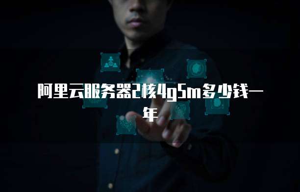 阿里云服务器2核4g5m多少钱一年