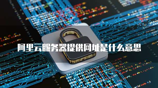 阿里云服务器提供网址是什么意思