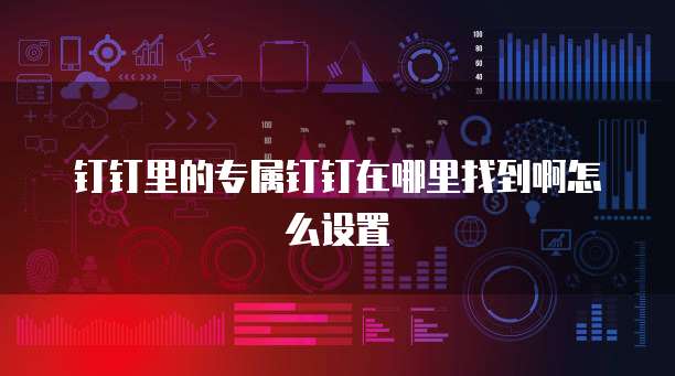 钉钉里的专属钉钉在哪里找到啊怎么设置