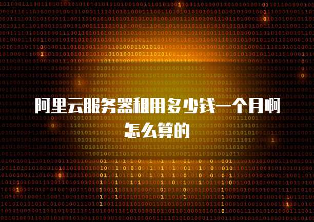 阿里云服务器租用多少钱一个月啊怎么算的