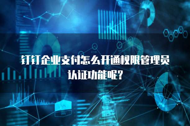 钉钉企业支付怎么开通权限管理员认证功能呢?