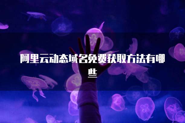 阿里云动态域名免费获取方法有哪些
