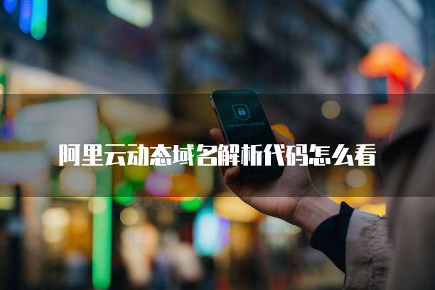 阿里云动态域名解析代码怎么看