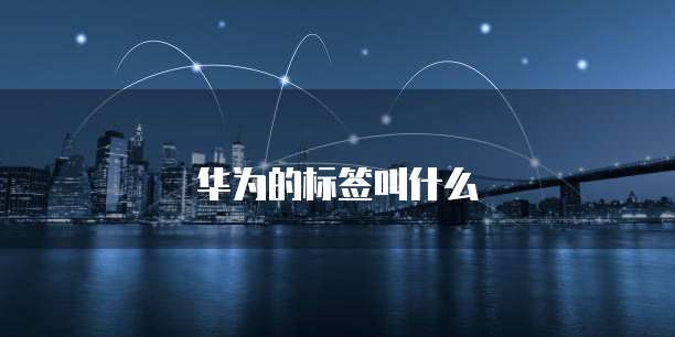 阿里云服务器存储报价:了解价格优势与性能特点