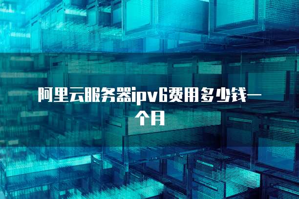 阿里云服务器IPv6费用多少钱一个月