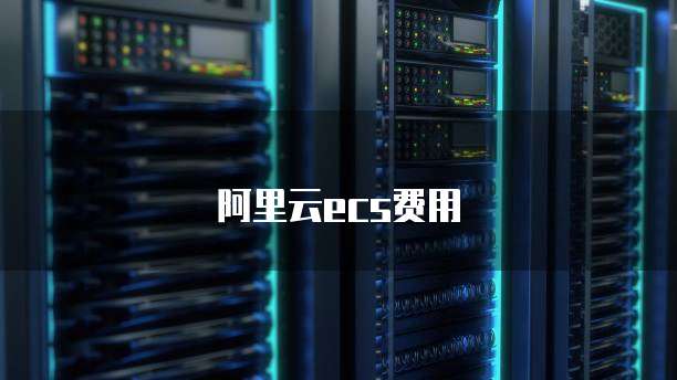 阿里云ecs费用