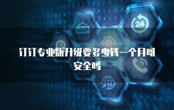 钉钉专业版升级要多少钱一个月呀安全吗