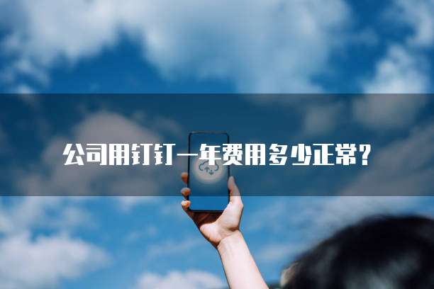 公司用钉钉一年费用多少正常？