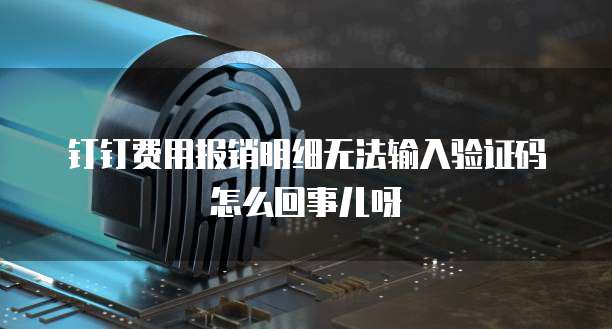 钉钉费用报销明细无法输入验证码怎么回事儿呀
