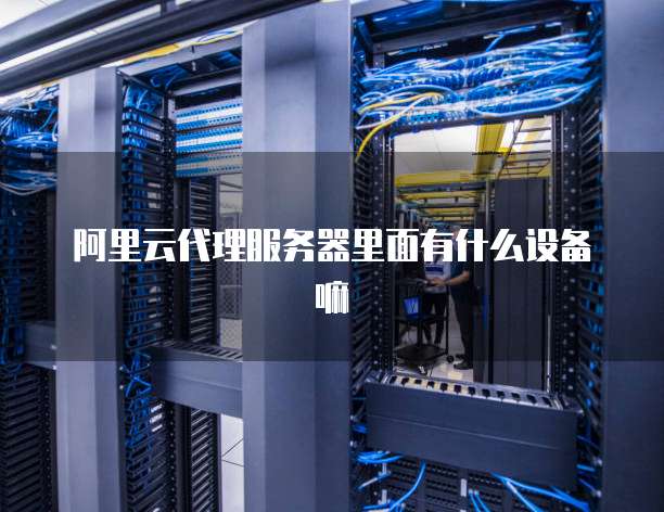 阿里云代理服务器里面有什么设备嘛