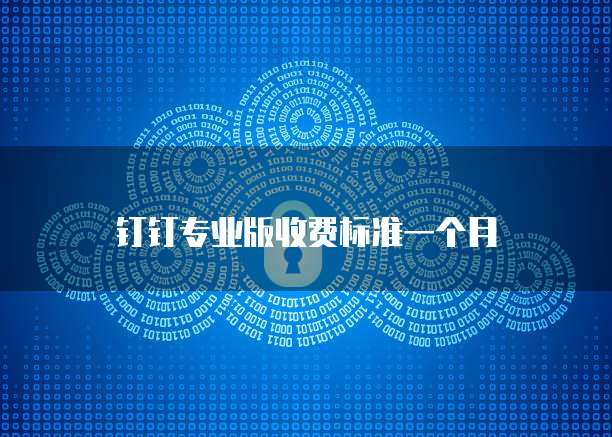 钉钉专业版收费标准一个月