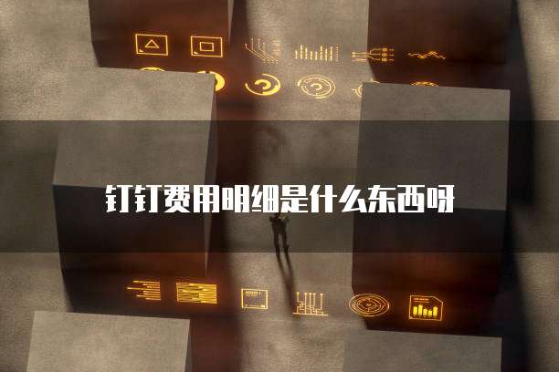 钉钉费用明细是什么东西呀