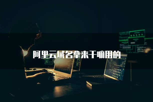 阿里云域名拿来干嘛用的