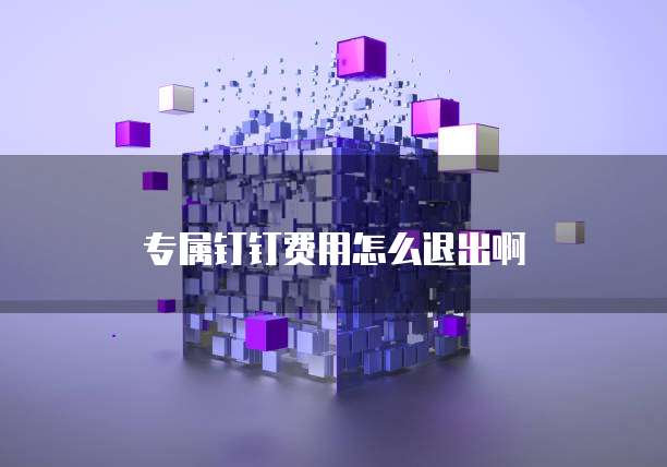 专属钉钉费用怎么退出啊