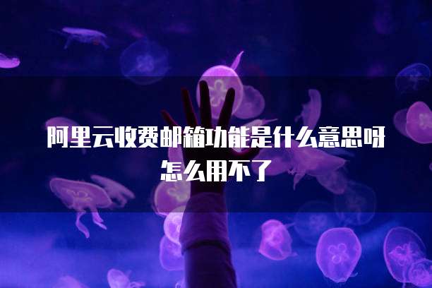 阿里云收费邮箱功能是什么意思呀怎么用不了