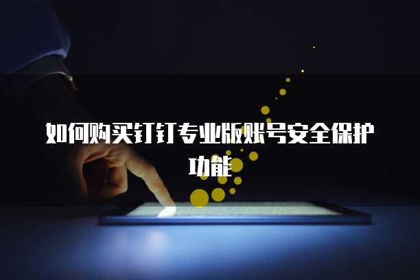 如何购买钉钉专业版账号安全保护功能