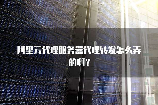 阿里云代理服务器代理转发怎么弄的啊?