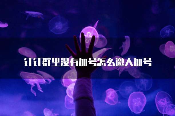 阿里云服务器怎么登陆到系统