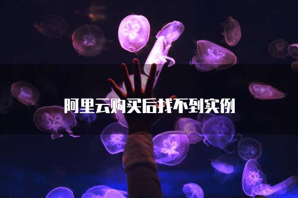 阿里云购买后找不到实例
