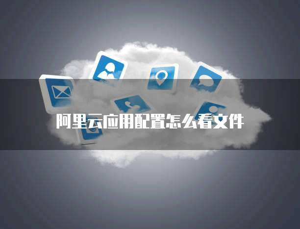 阿里云应用配置怎么看文件