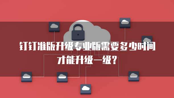 钉钉准版升级专业版需要多少时间才能升级一级?