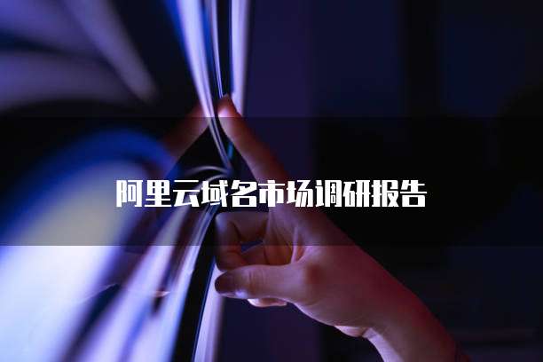 阿里云域名市场调研报告