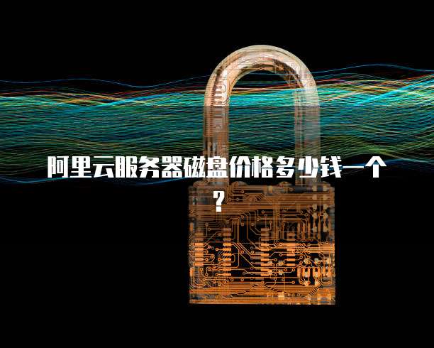 阿里云服务器磁盘价格多少钱一个?