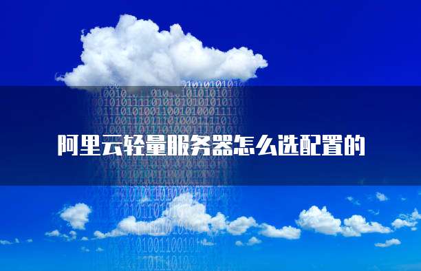 阿里云轻量服务器怎么选配置的
