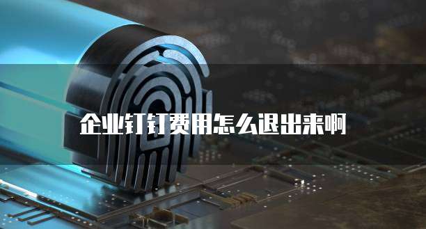 企业钉钉费用怎么退出来啊
